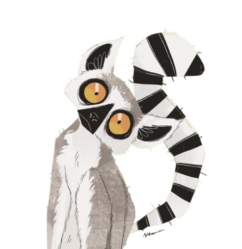 Simmy's Lemur Mascot with striped tail